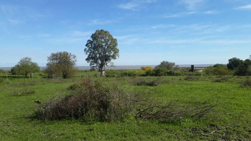 Imagen 3 de 17 de Lotes Linderos A Las Termas, Excelente Vista Al Rio
