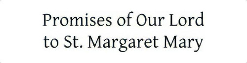 Promises Of Our Lord To St. Margaret Mary, De Fr Paul Wenisch Sj. Editorial Createspace Independent Publishing Platform, Tapa Blanda En Inglés