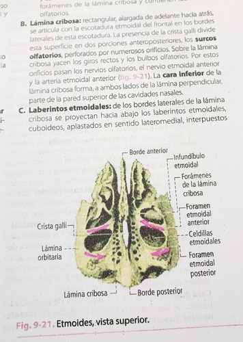 Anatomía Humana Latarjet 5 Edición Tomo 1 Y 2 Full Color A4