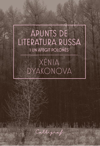 Apunts De Literatura Russa I Un Afegit Polonès