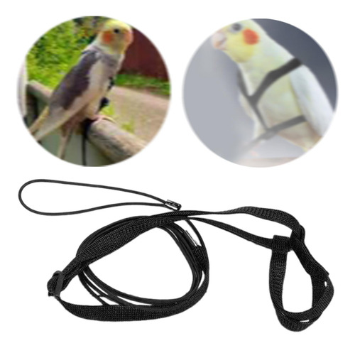 Arnés De Loros De Pájaros, Entrenamiento Volador De La M