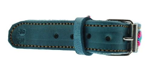 Collar Para Perro 6 Piezas 20cm 40cm 45cm 60cm 65cm