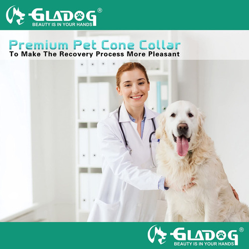 Coleira De Cone Para Cães Gladog Soft Flexível Para Cirurgia