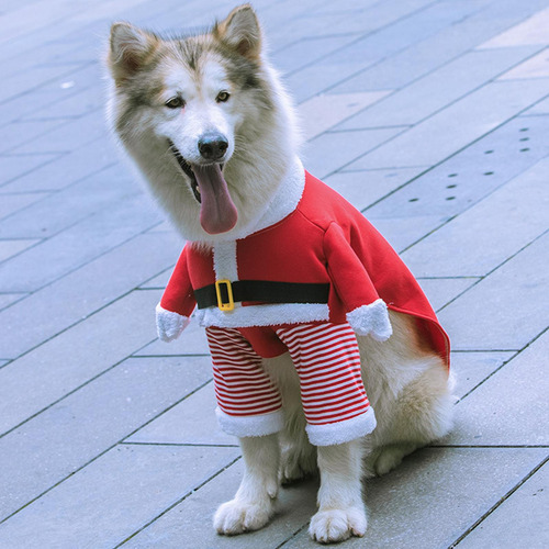 Roupa De Natal De Gato Roupas De Natal Com Chapéu Roupas Xl