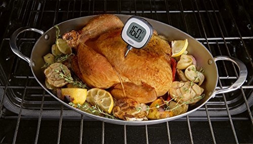 Termometro De Lectura Instantanea Digital De Precision Oxo G
