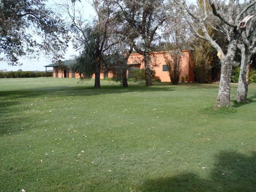 Imagen 5 de 16 de Campo En Alquiler En San Antonio De Areco