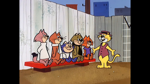 Serie Y Peliculas Don Gato Y Su Pandilla - Top Cat Full Hd