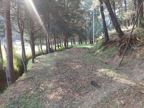 Terreno En Jilotzingo