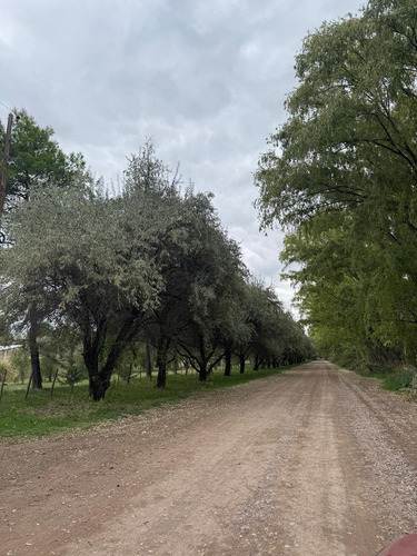 Cocucci Inmobiliaria Vende Finca En Tunuyan