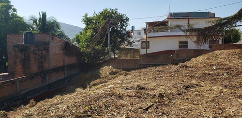 Imagen 5 de 15 de Lote Dharma