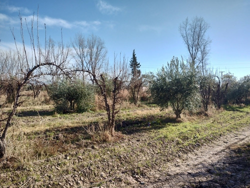 Imagen 9 de 11 de Terreno 10mts/2 Oportunidad