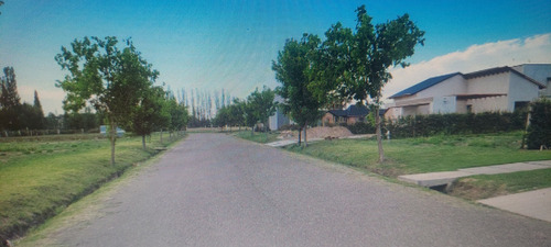 Terreno / Lote En San Rafael Mendoza Barrio Cerrado Viñas Del Sur