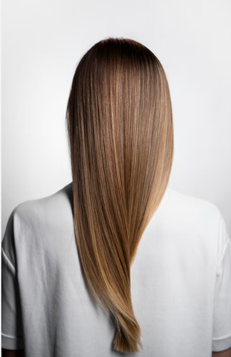 Shampoo Favorece A Hidratação Forca Da Terra 285ml Hidrabel