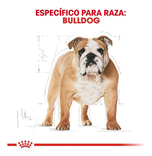 Imagen 2 de 6 de Royal Canin Bulldog Adulto 13.61 Kg Nuevo Original Sellado