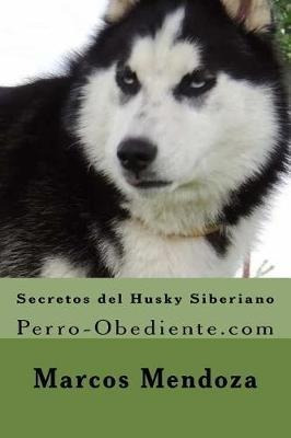 Secretos Del Husky Siberiano : Perro-obediente.com - Marcos