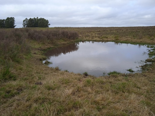 Campo De 23 Hectáreas En Canelones