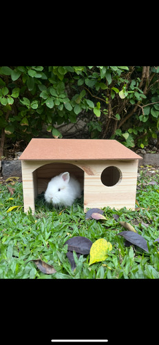 Casa/casita D Madera Chica Para Conejos, Cobis, Chinchillas