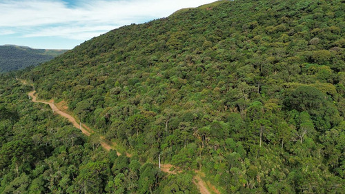 Oportunidade! 2 Hectares A Partir De R$ 99.000,00