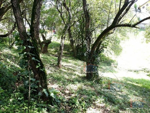 Imagem 7 de 15 de Ref.: 2961 - Terrenos Em Santana De Parnaíba Para Venda - V2961
