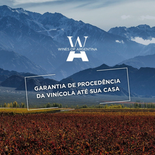 Imagem 2 de 2 de Espumante Argentino Novecento Dulce 750ml