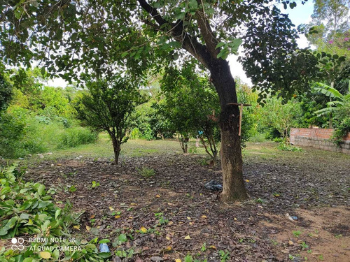 Chalé Térreo E Maravilhoso No Camping Do Alemão
