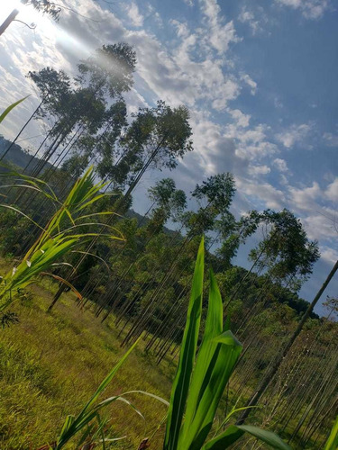 Imagem 10 de 14 de Aceito Veículo Como Parte Do Pagamento, Compre Seu Terreno