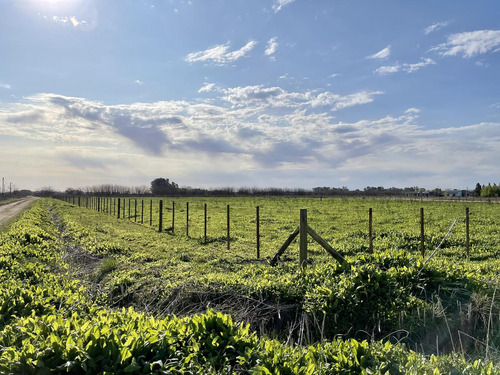 Loteo Laguna De Lobos, Lotes De 2040m2 