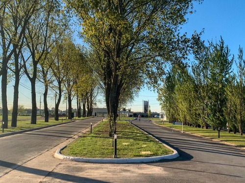 Imagen 9 de 12 de Terreno Lote En Venta Barrio La Alameda - Canning