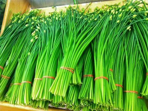 25 Sementes De Cebolinha Francesa - Allium Schoenoprasum