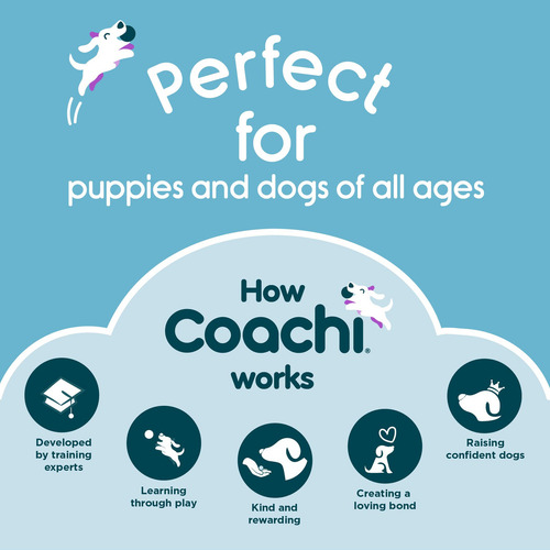 Juguete Para Perros Chase Crinkle, Suave Y Divertido