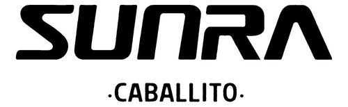 Monopatín Eléctrico Sunra 1200w 45km/h 50km Autonomía V