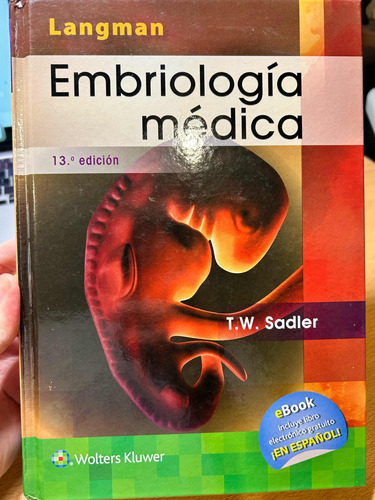 Embriología Médica Langman 13 Edición