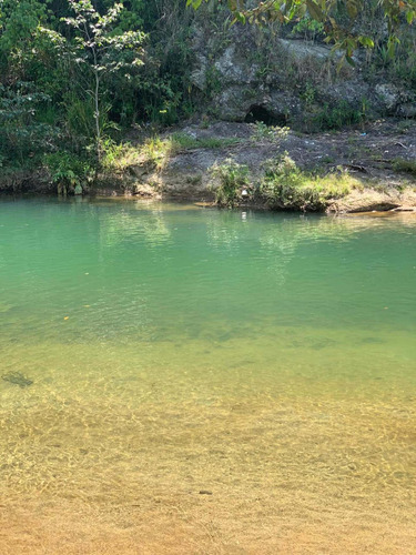 Imagen 3 de 14 de Hermosa Finca De Pino Y Otros Cosechó En San Jose De Ocoa