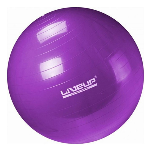 Bola Suíça Para Pilates 55 Cm Premium Liveup Ls3222 55 Pr