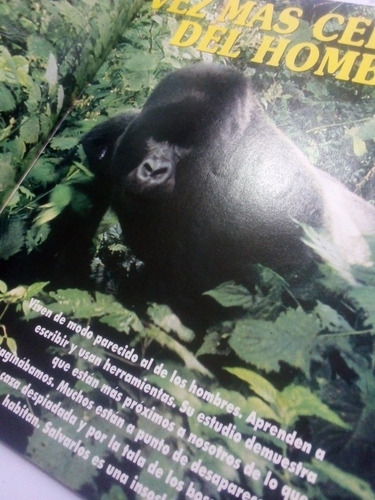 Imagen 3 de 4 de Revista Conozca Más Año 3 No. 12 Lo Que Los Monos Enseñan