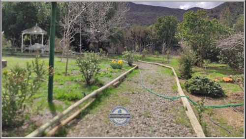Arrienda Amplia Y Conforlable Parcela - Curacaví Valle De Lo