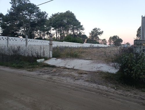 Oportunidad Para Constructores E Inversores En Terreno Unico