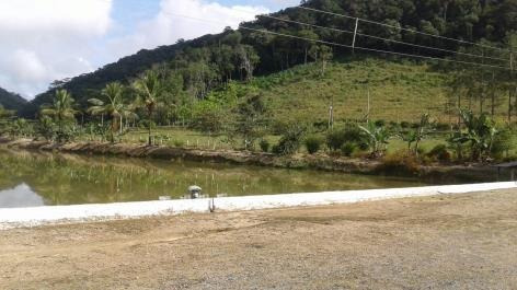 Imagem 11 de 18 de Linda Fazenda - Municipio De Sete Barras - Ven23