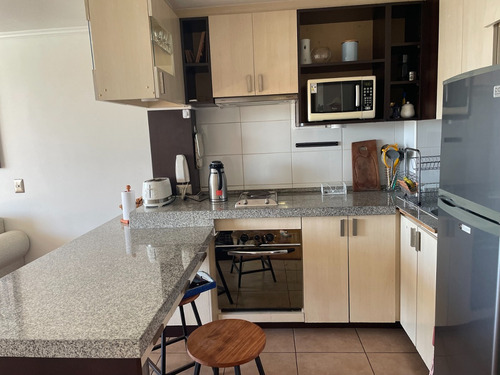 Arriendo Departamento Frente Playa Lilenes De Mar A Dic,