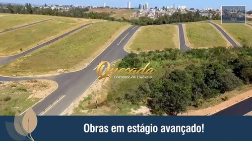 Imagem 4 de 7 de Terreno - Te00204 - 69485670