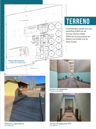 Imagen 18 de 19 de Excelente Oportunidad En San Rafael Se Vende Bodega