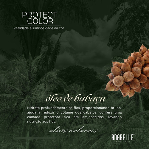 Shampoo Profissional Protect Color Cabelo Tingido Anabelle
