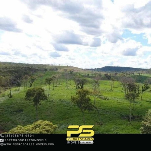 Imagem 2 de 6 de Fazenda À Venda, 50820 M² Por R$ Valor Na Descrição - Rio Sono - Rio Sono/to - Fa0273