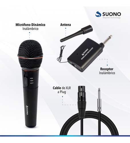 Micrófono Profesional Inalámbrico Karaoke Wg-308e Estuche Color Negro