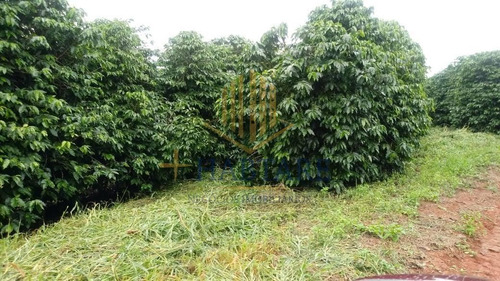 Imagem 11 de 15 de Fazenda Para Venda Em Ouro Fino, - - Fazenda 0_1-2221666