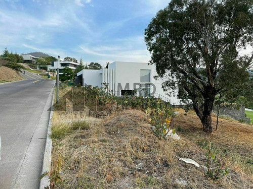 Imagen 5 de 11 de Terreno En Venta En Campo De Golf Tres Marias