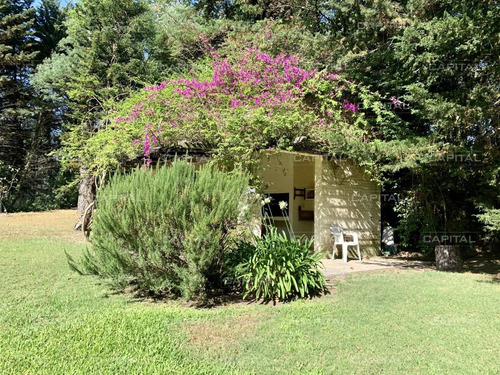 Buena Casa En San Rafael De Cuatro Dormitorios Con Pisicina-ref:30054