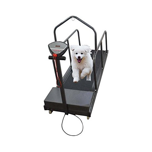 Cinta Correr Para Mascota (110 V)