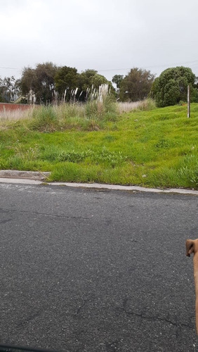 Imagen 2 de 4 de Vendo Terreno En Zona San Carlos Oportunidad