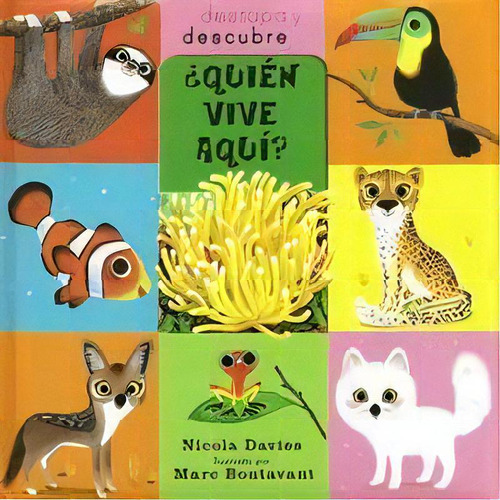 Ãâ¿quiãâ©n Vive Aquãâ?, De Davies, Nicola. Editorial Juventud, S.a., Tapa Dura En Español